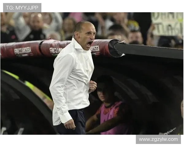 阿莱格里对我如意甲意乙之别悬