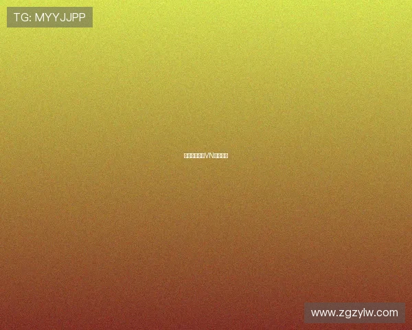 迪詹纳罗点评VN引发深思